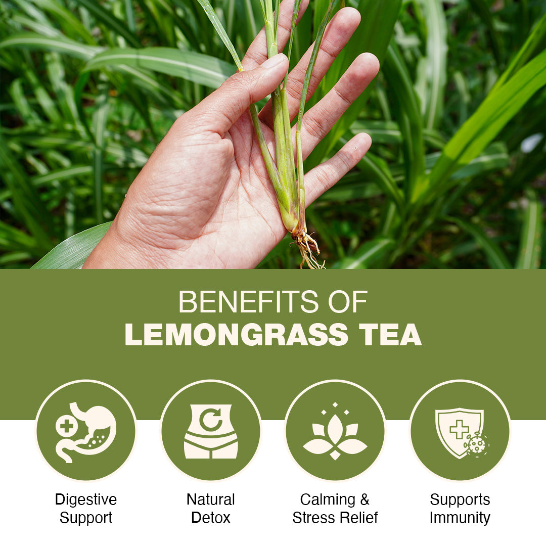Lemongrass 100gm Loose Leaf | Boost Metabolsim | Detox Tea