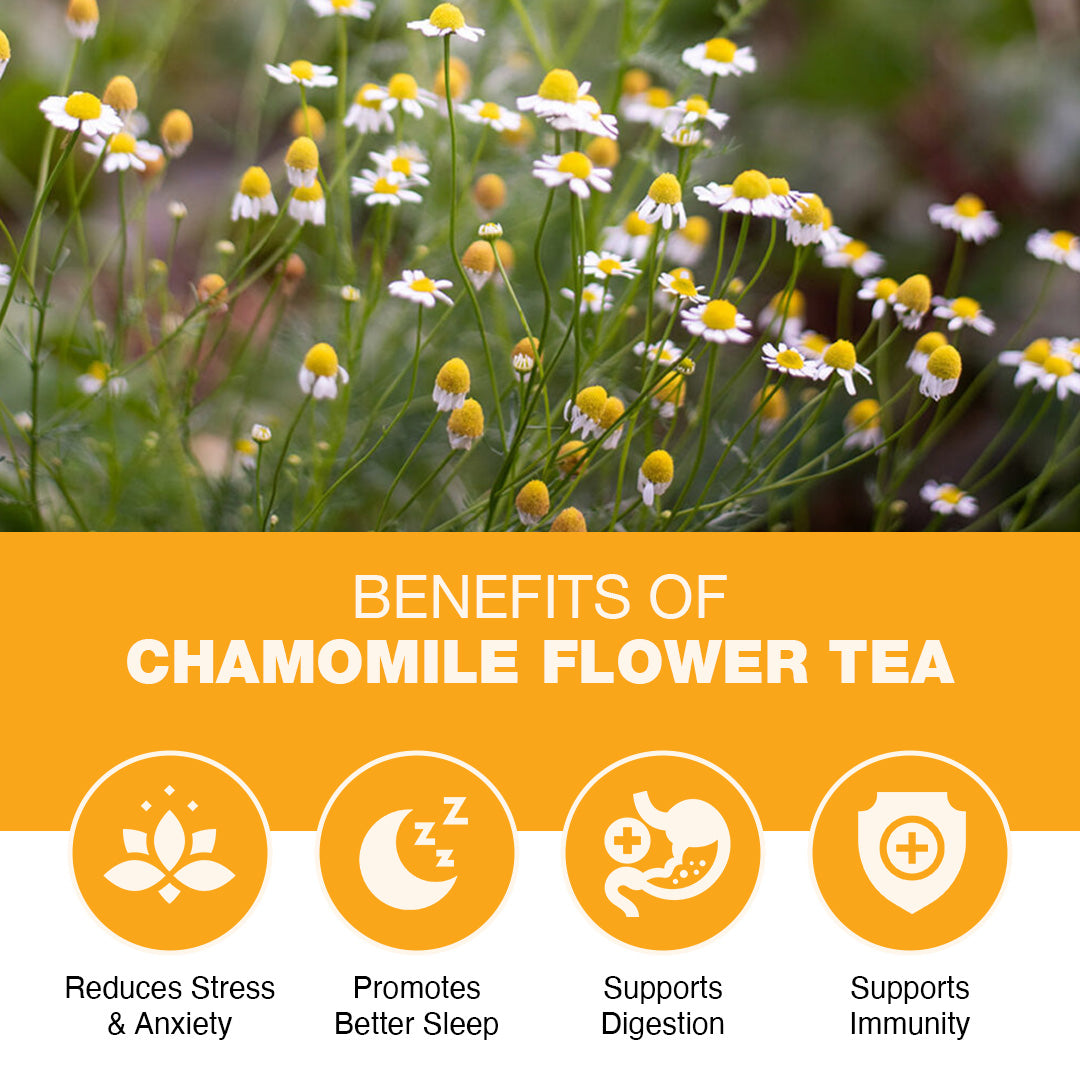 Chamomile Tea Loose – 100gm SLEEP & RELAXATION Herbal Tea | Floral & Calming Taste