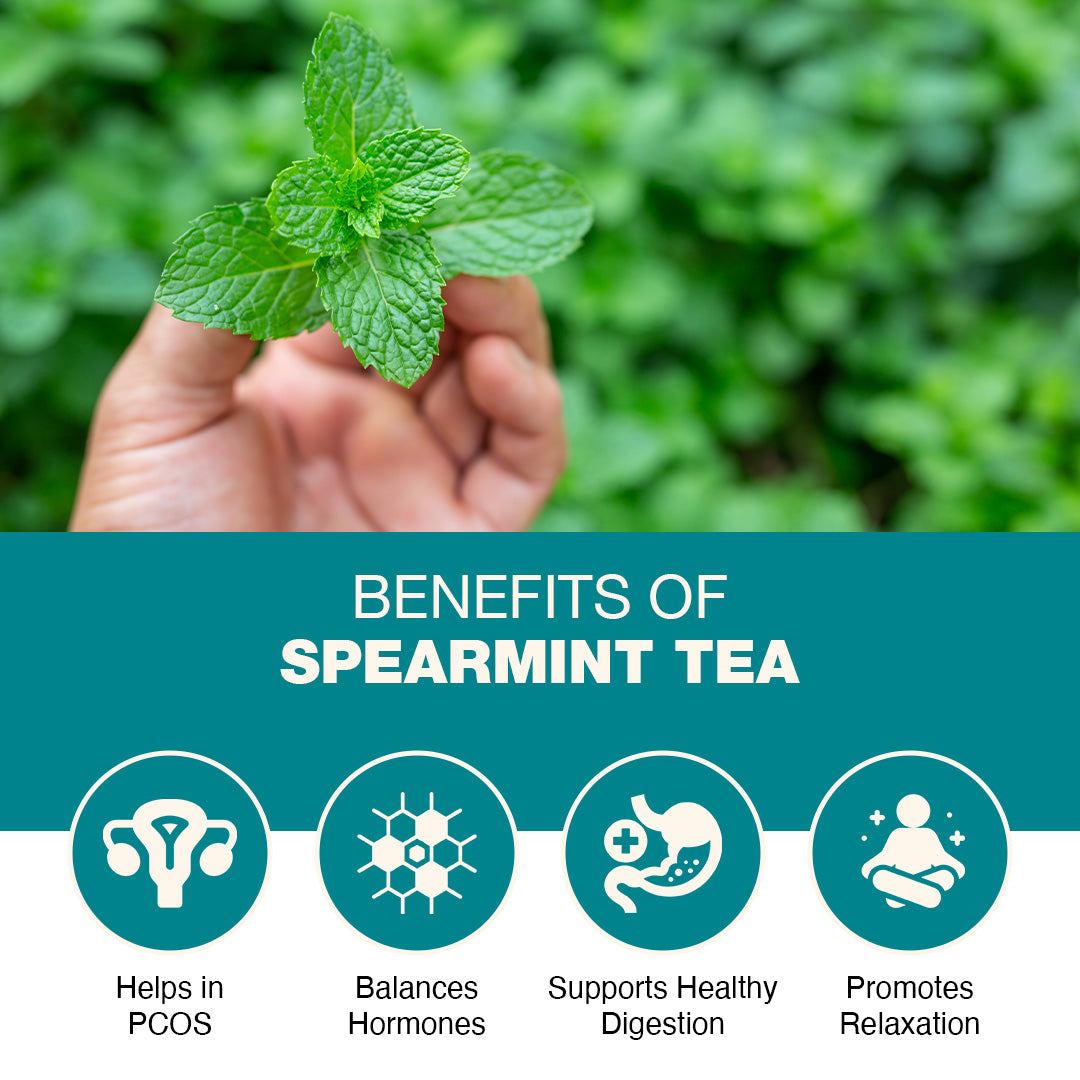 Spearmint Tea - 100 gm Loose Leaves | Pcos Relief | Balances Hormones