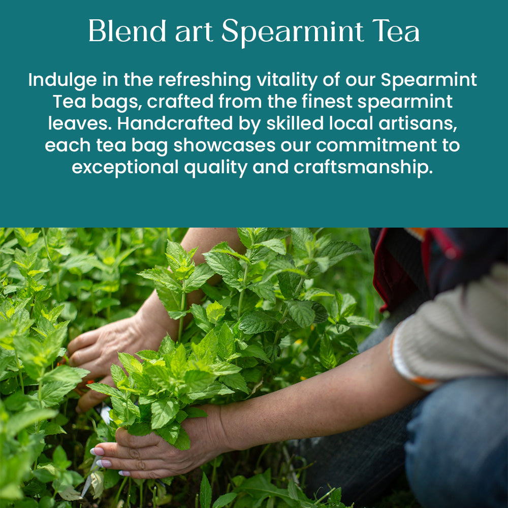 Spearmint Tea Bags 50 Count Herbal Tea Bags PCOS PCOD RELIEF Balances Hormones