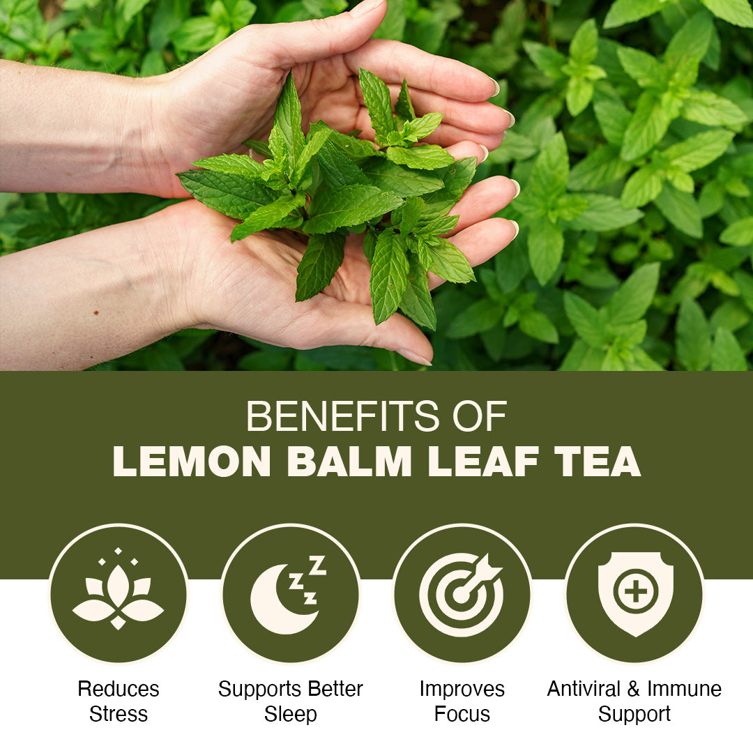 Lemon Balm Herbal Tea 30 Tea Bags - Relive Stress | Reduces Bloating | Refreshing Flavour