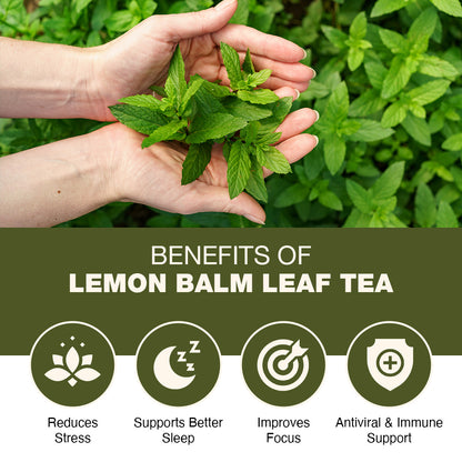 Lemon Balm Herbal Tea 30 Tea Bags - Relive Stress | Reduces Bloating | Refreshing Flavour