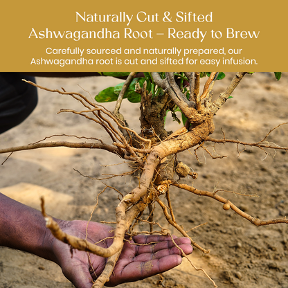 Ashwagandha Root 30 Tea Bags Helps in Relive Stress | Promote Cleansing &amp; Wellness