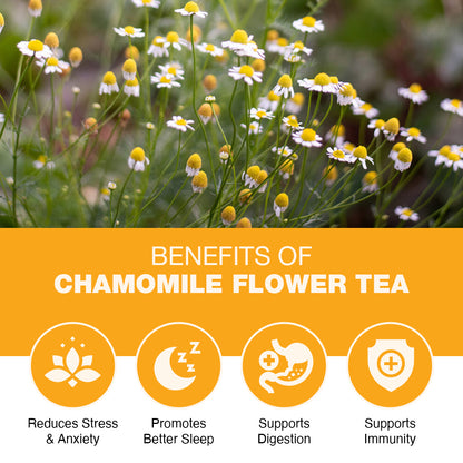 Chamomile Tea Loose – 100gm SLEEP &amp; RELAXATION Herbal Tea | Floral &amp; Calming Taste