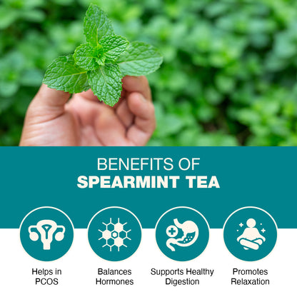Spearmint Tea - 100 gm Loose Leaves  | Pcos Relief | Balances Hormones