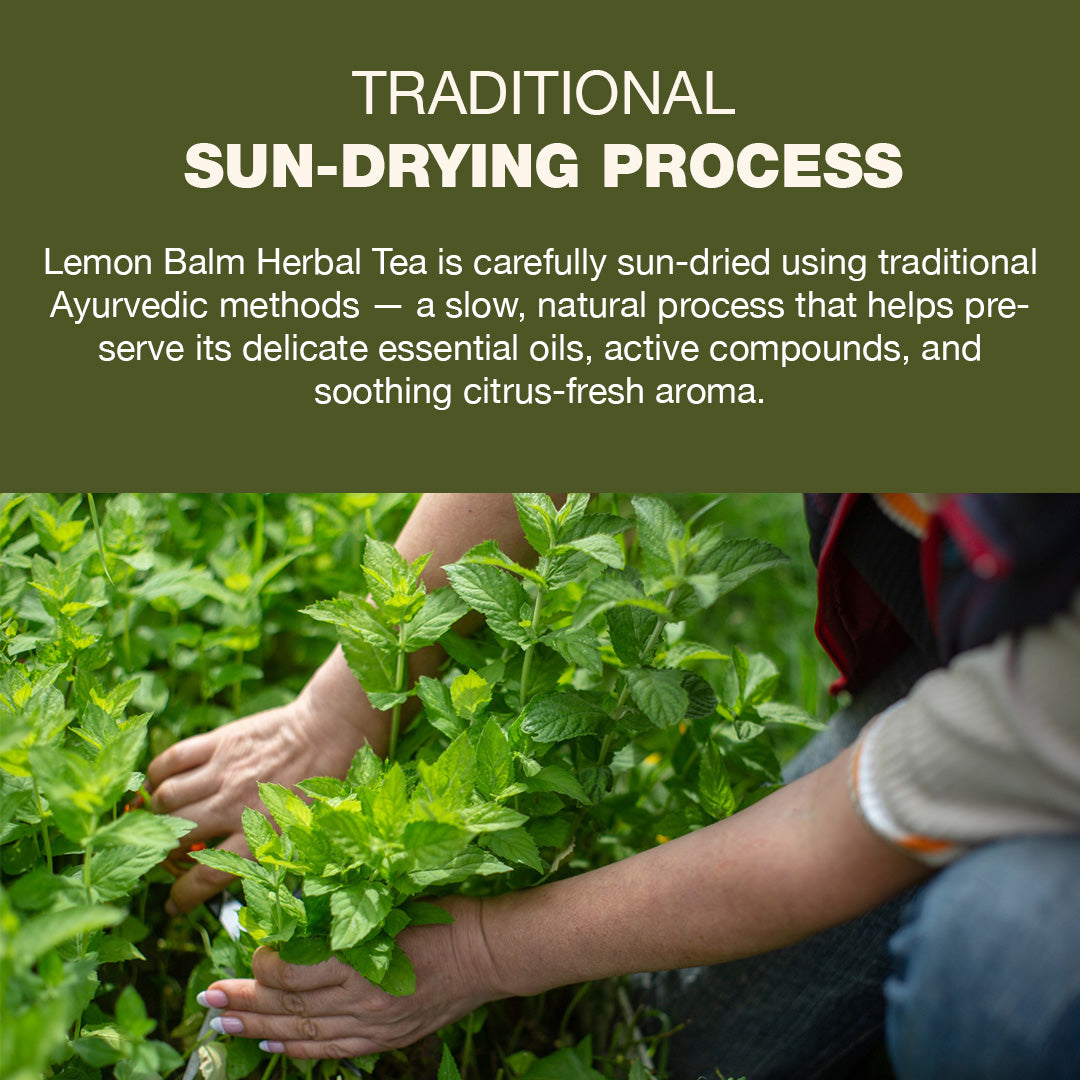 Lemon Balm Herbal Tea 30 Tea Bags - Relive Stress | Reduces Bloating | Refreshing Flavour