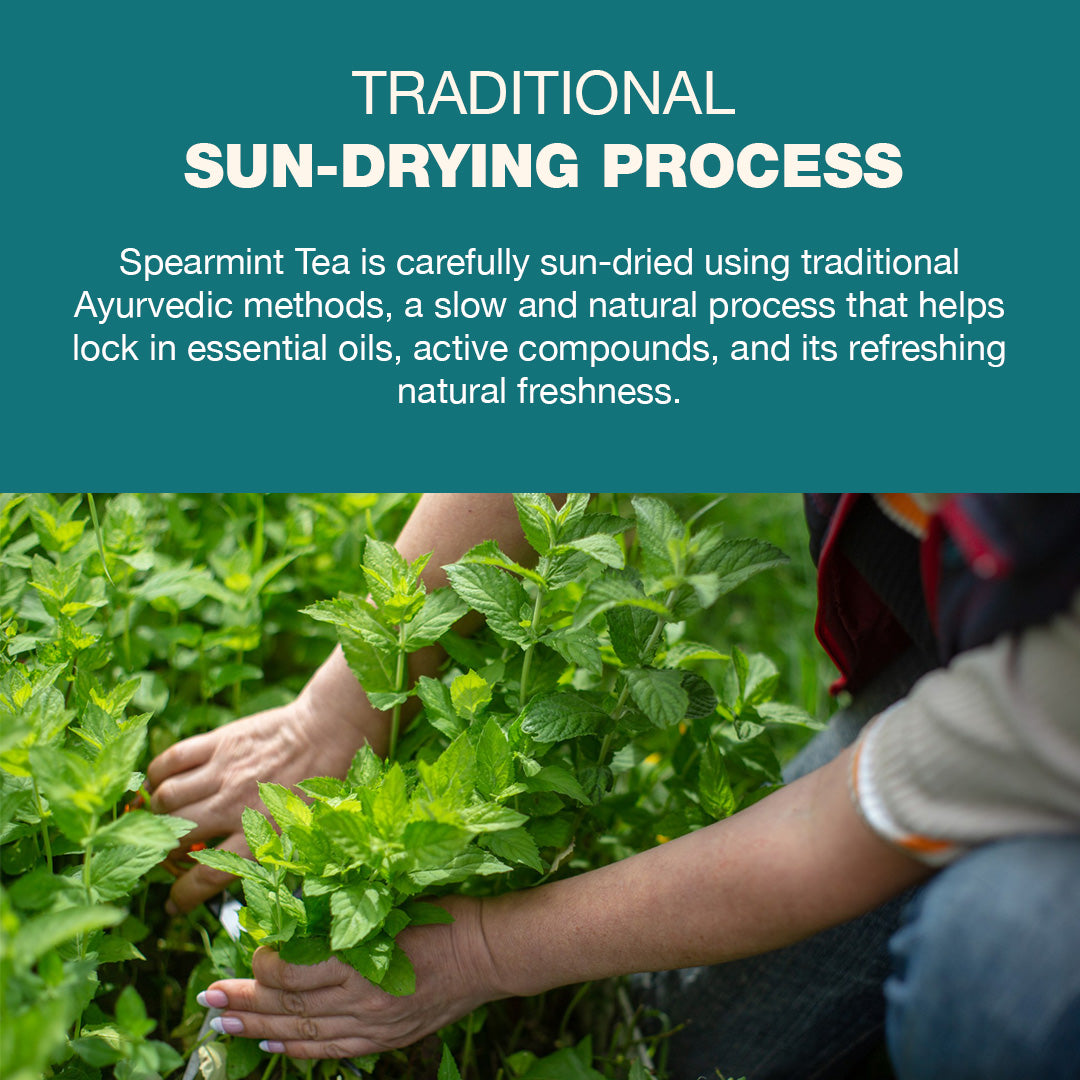 Spearmint Tea - 100 gm Loose Leaves  | Pcos Relief | Balances Hormones