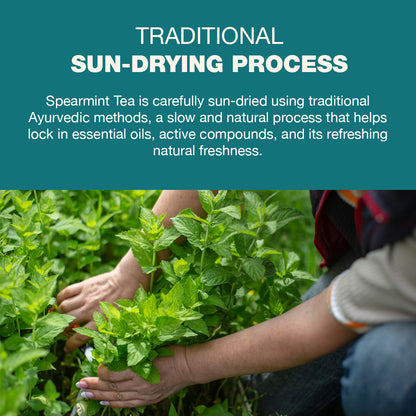 Spearmint Tea - 100 gm Loose Leaves  | Pcos Relief | Balances Hormones