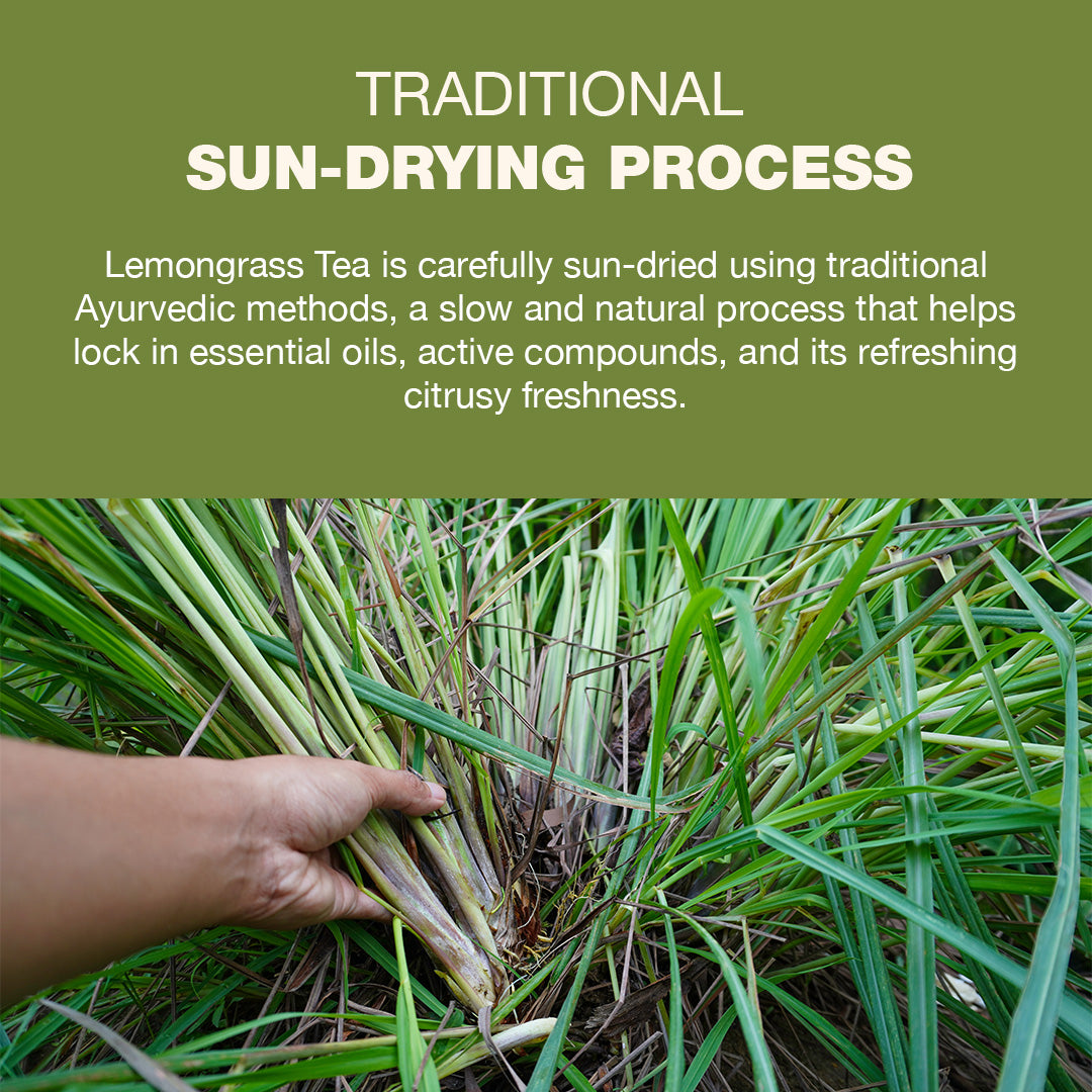 Lemongrass 100gm Loose Leaf | Boost Metabolsim | Detox Tea