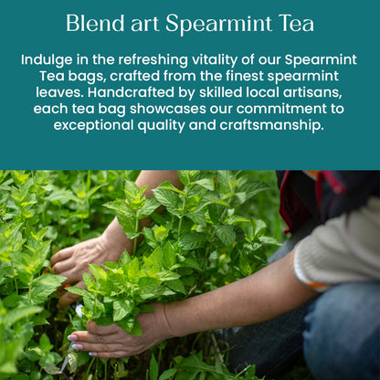 Spearmint Tea Bags 100 Count Herbal Tea Bags PCOS RELIEF Balances Hormones