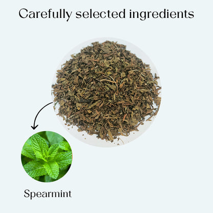 Spearmint Tea Bags 100 Count Herbal Tea Bags PCOS RELIEF Balances Hormones